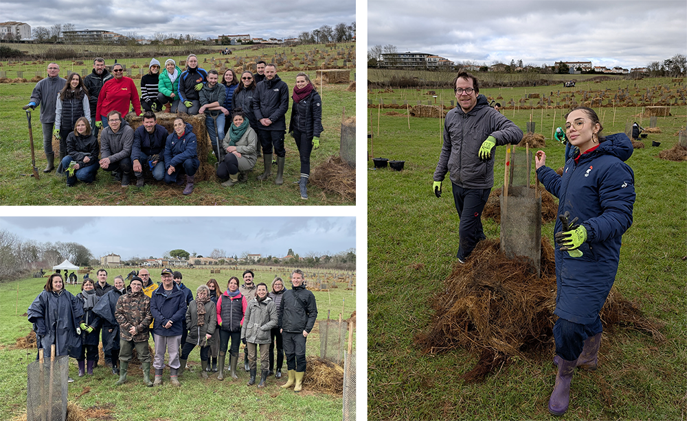 Deux équipes Cheminées Poujoulat sur la parcelle de plantations d'arbres à la Vallée Guyot à Niort