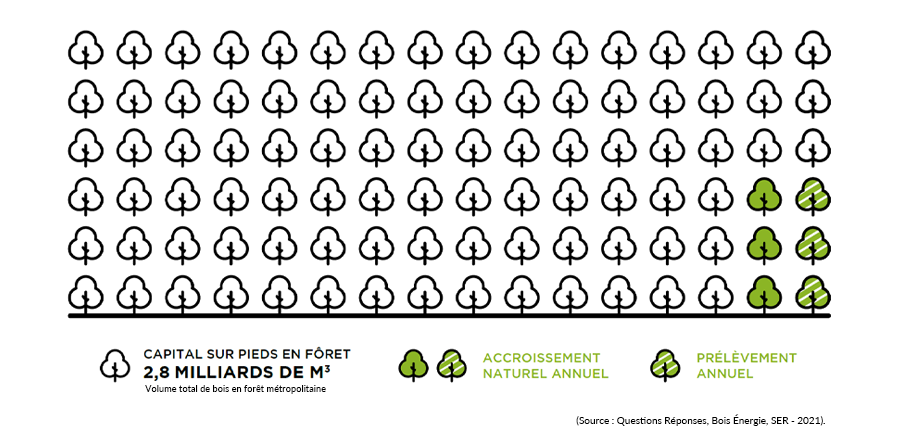 Représentation du gisement forestier français (Source : Questions Réponses, Bois Énergie, SER - 2021)